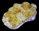 Lustrous, Yellow Cubic Fluorite Crystals - Morocco #32307-3